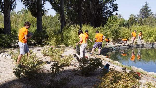 Algunos de los voluntarios que han participado en las acciones Algunos de los voluntarios que han participado en las acciones