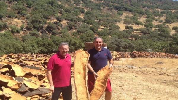 El presidente de la Diputación de Málaga, Elías Bendodo, en Montejaque El presidente de la Diputación de Málaga, Elías Bendodo, en Montejaque
