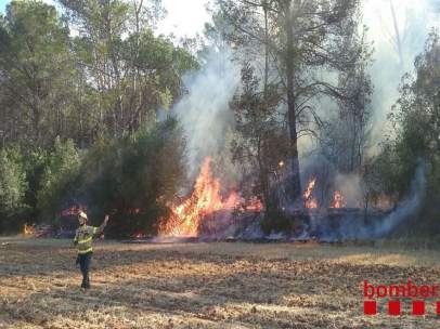 Bombero ante el incendio de Saus, Camallera i Llampaies (Girona)