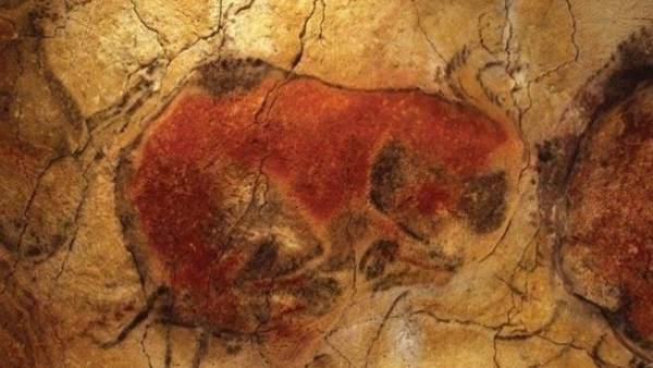 Bisontes de la cueva de Altamira (Archivo) Bisontes de la cueva de Altamira (Archivo)