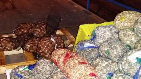 Decomiso pesca ilegal Málaga Decomiso pesca ilegal Málaga