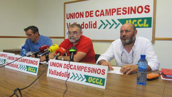UCCL analiza la campaña de cereales en Valladolid UCCL analiza la campaña de cereales en Valladolid