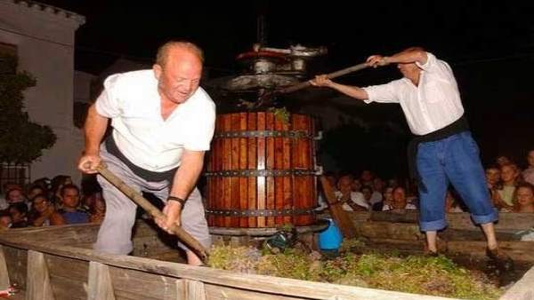 Montilla acogerá la Fiesta de la Vendimia en septiembre Montilla acogerá la Fiesta de la Vendimia en septiembre