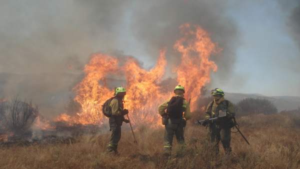 Brigadistas trabajando en las tareas de extinción de un incendio forestal Brigadistas trabajando en las tareas de extinción de un incendio forestal