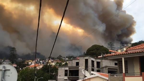 Las llamas se acercan al centro de Funchal (Madeira) Las llamas se acercan al centro de Funchal (Madeira)