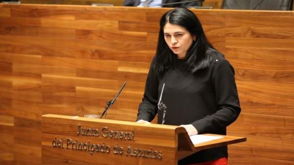 Carmen Fernández, diputada de Foro Asturias Carmen Fernández, diputada de Foro Asturias