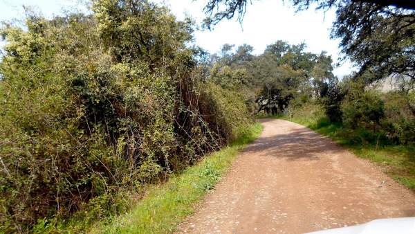 Un camino rural en Higuera de la Sierra Un camino rural en Higuera de la Sierra