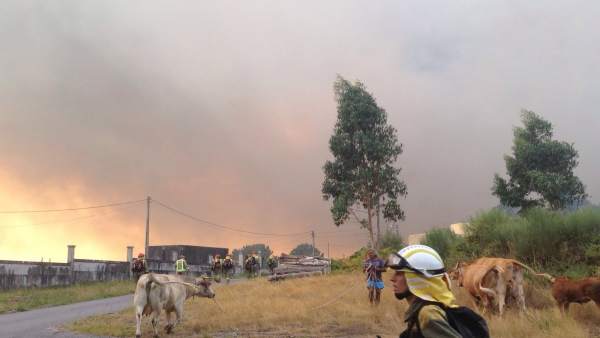 Incendio de Cotobade (Pontevedra) Incendio de Cotobade (Pontevedra)