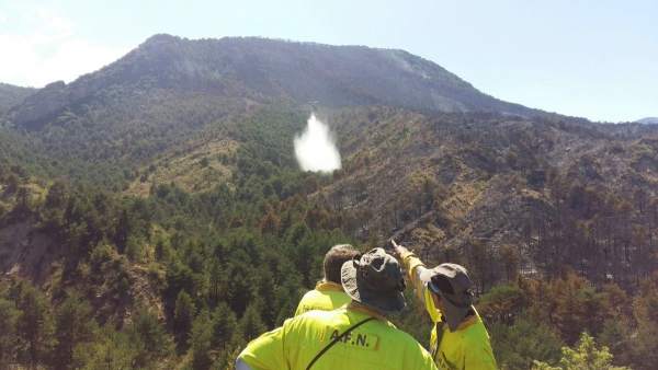El incendio ya se ha dado por controlado y ahora solo queda extinguirlo. El incendio ya se ha dado por controlado y ahora solo queda extinguirlo.