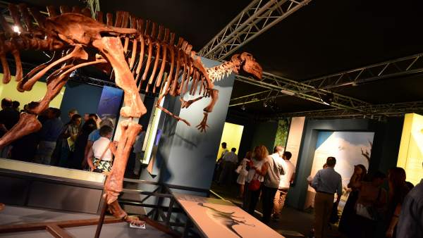 La muestra se ubica en la tercera planta del Museo Príncipe Felipe La muestra se ubica en la tercera planta del Museo Príncipe Felipe