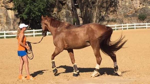 Adelinde Cornelissen y su caballo Adelinde Cornelissen y su caballo