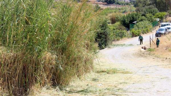NP Y Fotografía El Ayuntamiento Adjudica Los Trabajos De Mejora En El Camino Las NP Y Fotografía El Ayuntamiento Adjudica Los Trabajos De Mejora En El Camino Las