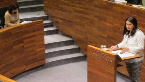 La diputada de Foro Carmen Fernández, y la consejera, durante el pleno. La diputada de Foro Carmen Fernández, y la consejera, durante el pleno.