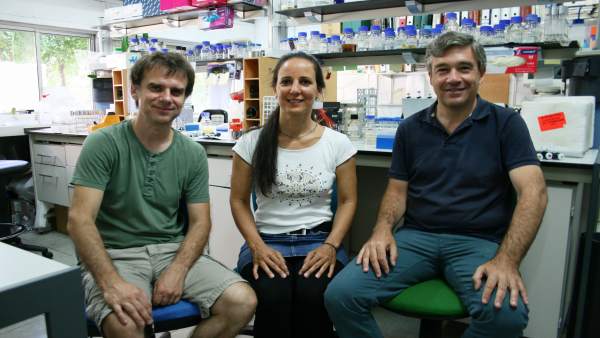 Investigadores de la US señalan posible diana terapéutica contra la malaria. Investigadores de la US señalan posible diana terapéutica contra la malaria.