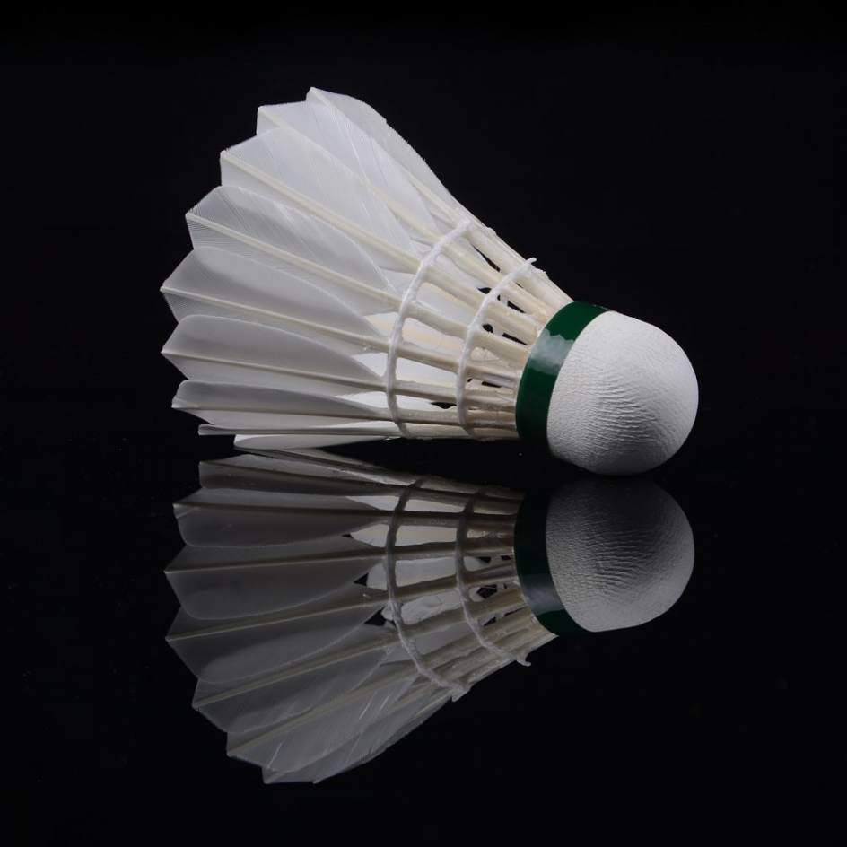 Resultado de imagen de volante badminton