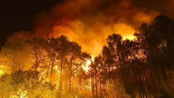 Imagen de un incendio forestal Imagen de un incendio forestal