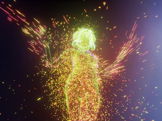 Björk, Notget VR