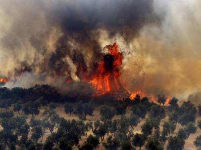 INCENDIO EN CIUDAD REAL