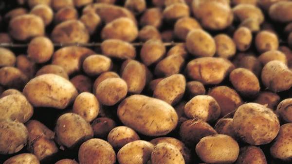 La Unió de Llauradors i AVA-ASAJA valoren la Llei de l'Horta La Unió de Llauradors i AVA-ASAJA valoren la Llei de l'Horta