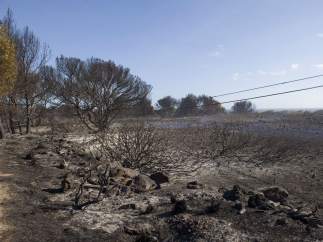 Incendio en Menorca
