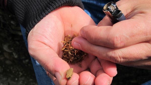 Un porro de hachís Un porro de hachís