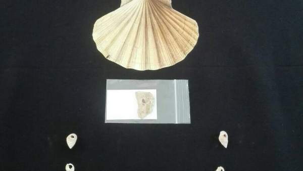 Collares localizados con más de 13.000 años de antigüedad Collares localizados con más de 13.000 años de antigüedad