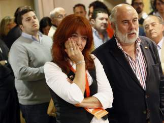 Ciudadanos no entra en los parlamentos