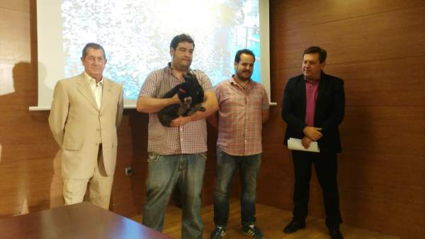 Presentación de TodoMascota Presentación de TodoMascota