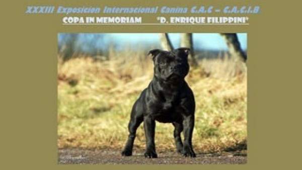 Sociedad Canina de Baleares Sociedad Canina de Baleares
