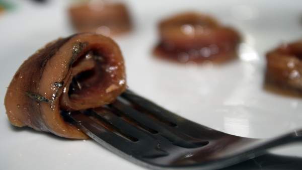 Anchoa del Cantábrico Anchoa del Cantábrico