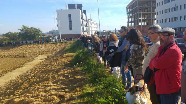 Dirigentes de IU, en la zona arqueológica de El Seminario. Dirigentes de IU, en la zona arqueológica de El Seminario.