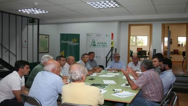 Reunión de la sectorial de la viña Reunión de la sectorial de la viña