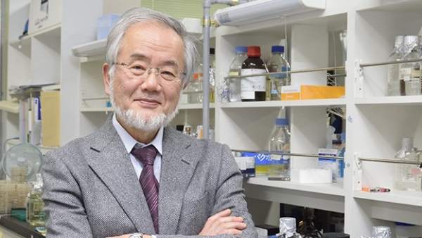 Yoshinori Ohsumi Yoshinori Ohsumi