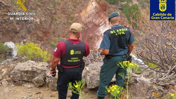 El Cabildo de Gran Canaria y Guardia Civil detectan a 11 cazadores furtivos El Cabildo de Gran Canaria y Guardia Civil detectan a 11 cazadores furtivos