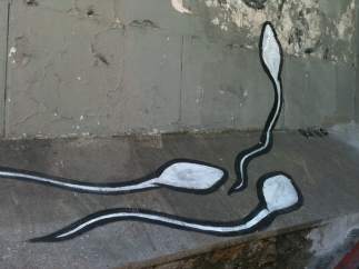 Espermatozoides