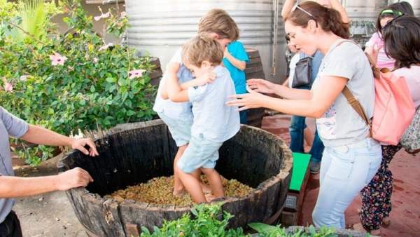 Una de las actividades del otoño Enogastronómico Una de las actividades del otoño Enogastronómico