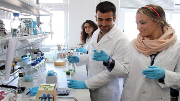Técnicos de laboratorio experimentan con microalgas Técnicos de laboratorio experimentan con microalgas