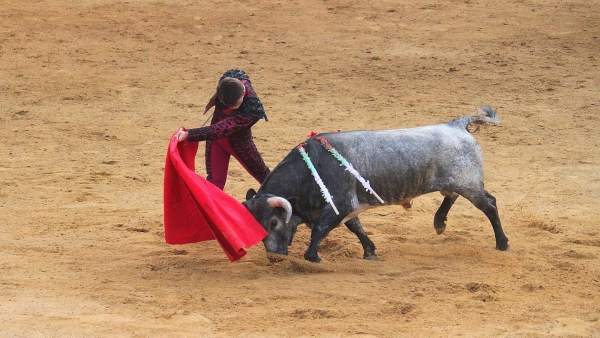 Lance en una corrida de toros Lance en una corrida de toros