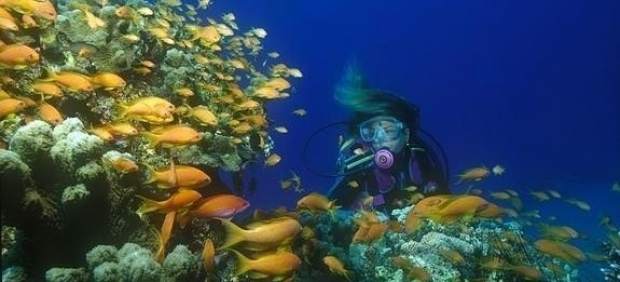 Fondo marino en La Herradura