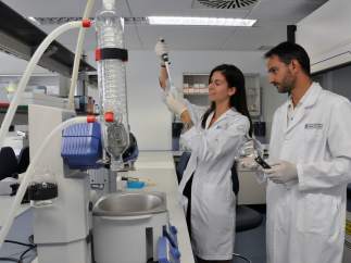 Investigación sobre desarrollo de asma y alergias en niños.