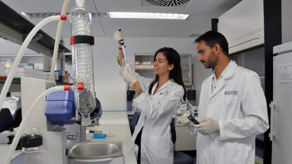 Investigación sobre desarrollo de asma y alergias en niños. Investigación sobre desarrollo de asma y alergias en niños.