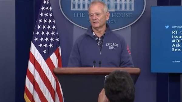 Bill Murray Bill Murray