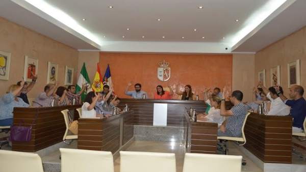 Pleno de Almonte sobre las obras del Palacio de Doñana. Pleno de Almonte sobre las obras del Palacio de Doñana.