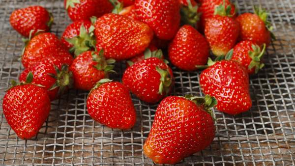 Fresas Fresas