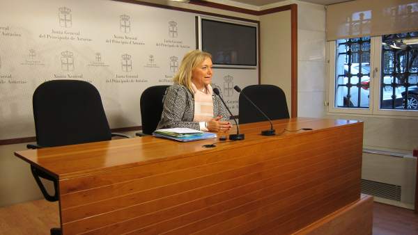 La presidenta del PP asturiano, Mercedes Fernández La presidenta del PP asturiano, Mercedes Fernández
