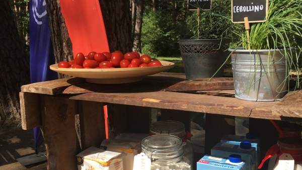 Una de las estanterías de MasterChef con productos de Tierra de Sabor Una de las estanterías de MasterChef con productos de Tierra de Sabor