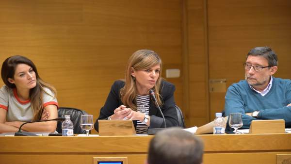 Sánchez Zaplana en la comisión de investigación de residencias de las Corts Sánchez Zaplana en la comisión de investigación de residencias de las Corts