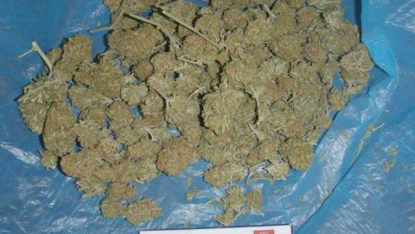 Marihuana incautada Marihuana incautada