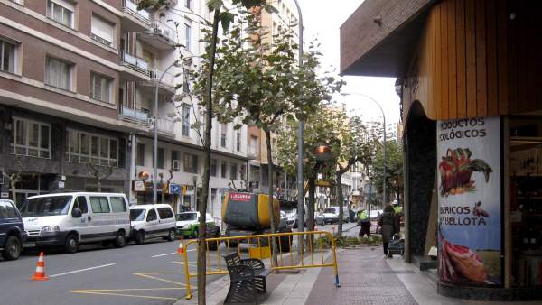 Imagen de operarios podando en la Avenida de Portugal Imagen de operarios podando en la Avenida de Portugal