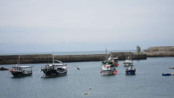 Pesca, puerto, mar, Tapia de Casariego, Asturias Pesca, puerto, mar, Tapia de Casariego, Asturias